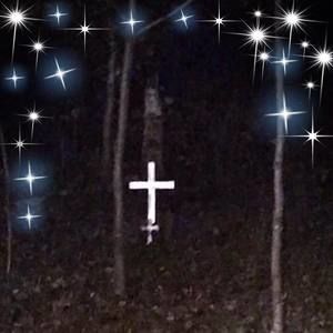 Meet your Posher, Connie dewey